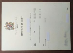 University of the West of England, Bristol diploma