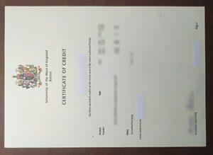 University of the West of England, Bristol diploma