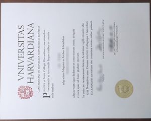 Harvard University diploma