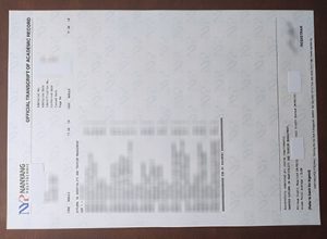Nanyang Polytechnic transcript