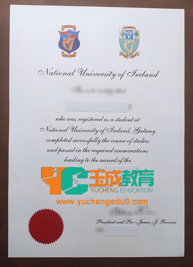 National University of Ireland diploma