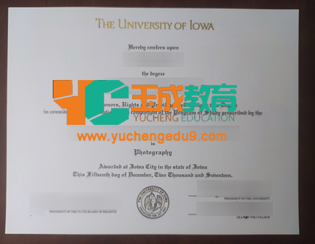 University of Iowa degree