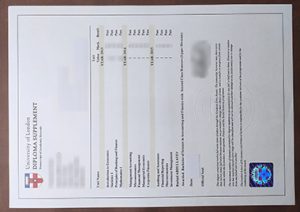 University of London academic transcript