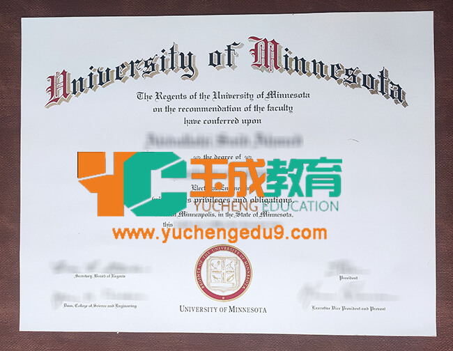 University of Minnesota degree