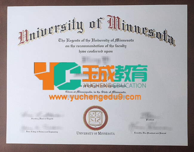 University of Minnesota degree