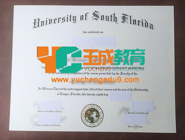 University of South Florida degree