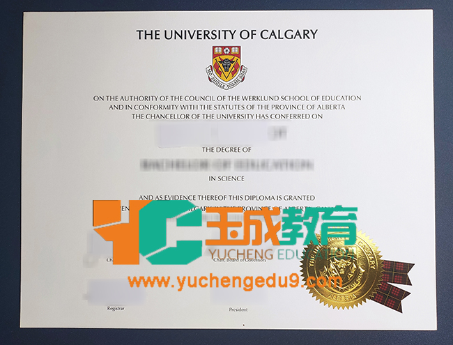 University of Calgary degree