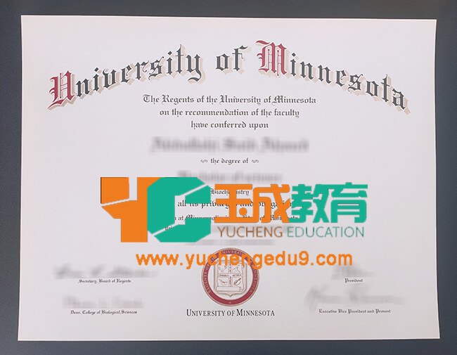 University of Minnesota degree