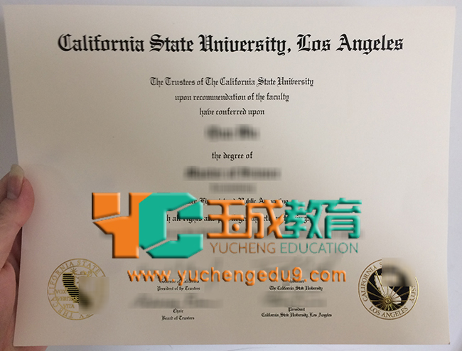 University of California, Los Angeles degree