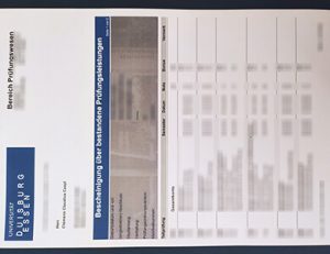 University of Duisburg-Essen transcript 杜伊斯堡-埃森大学成绩单