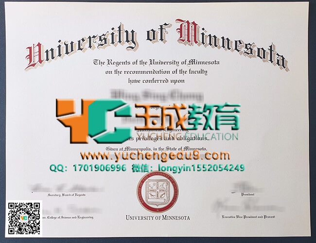 University of Minnesota degree 明尼苏达大学文凭