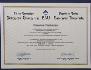 巴切谢希尔大学理学学士学位 Bahçeşehir University degree of bachelor of science