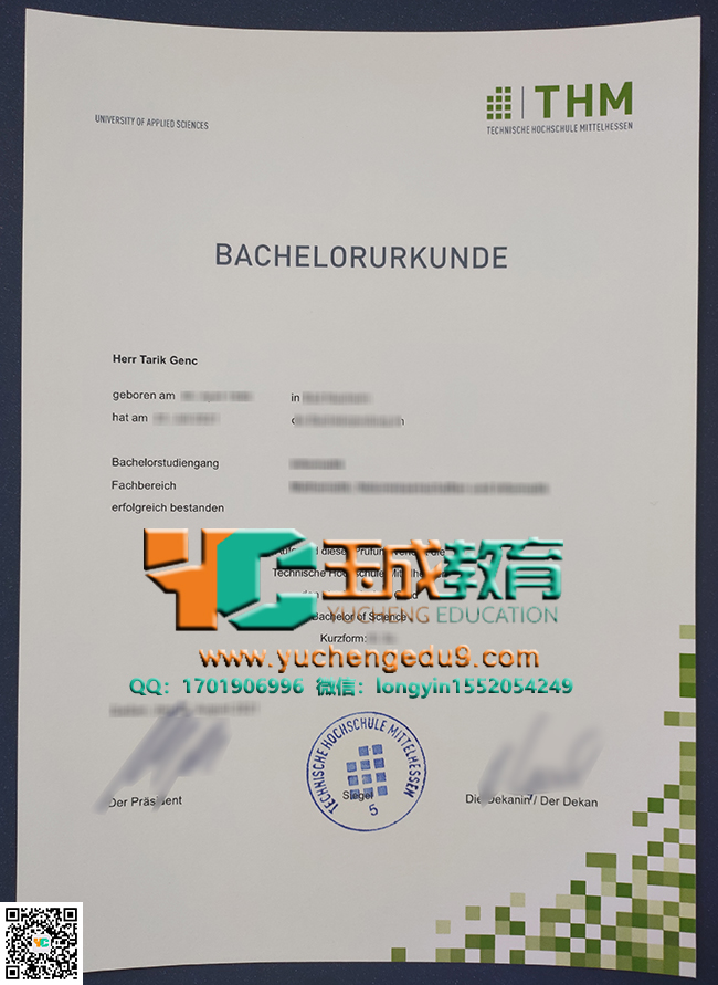 中央黑森应用科学大学证书 Technische Hochschule Mittelhessen certificate (THM)