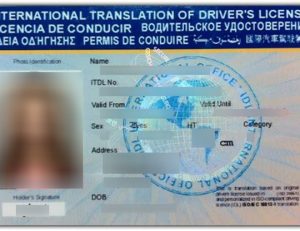 international driver's license 国际驾照